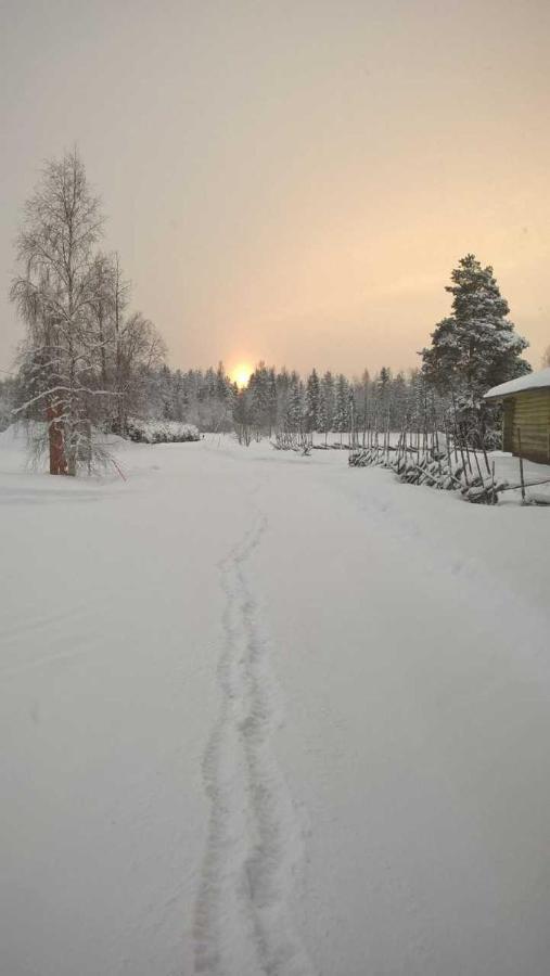 Guest House Haapaniemen Hirsikartano Idensalmi Eksteriør bilde